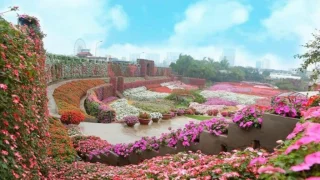 西湖花谷