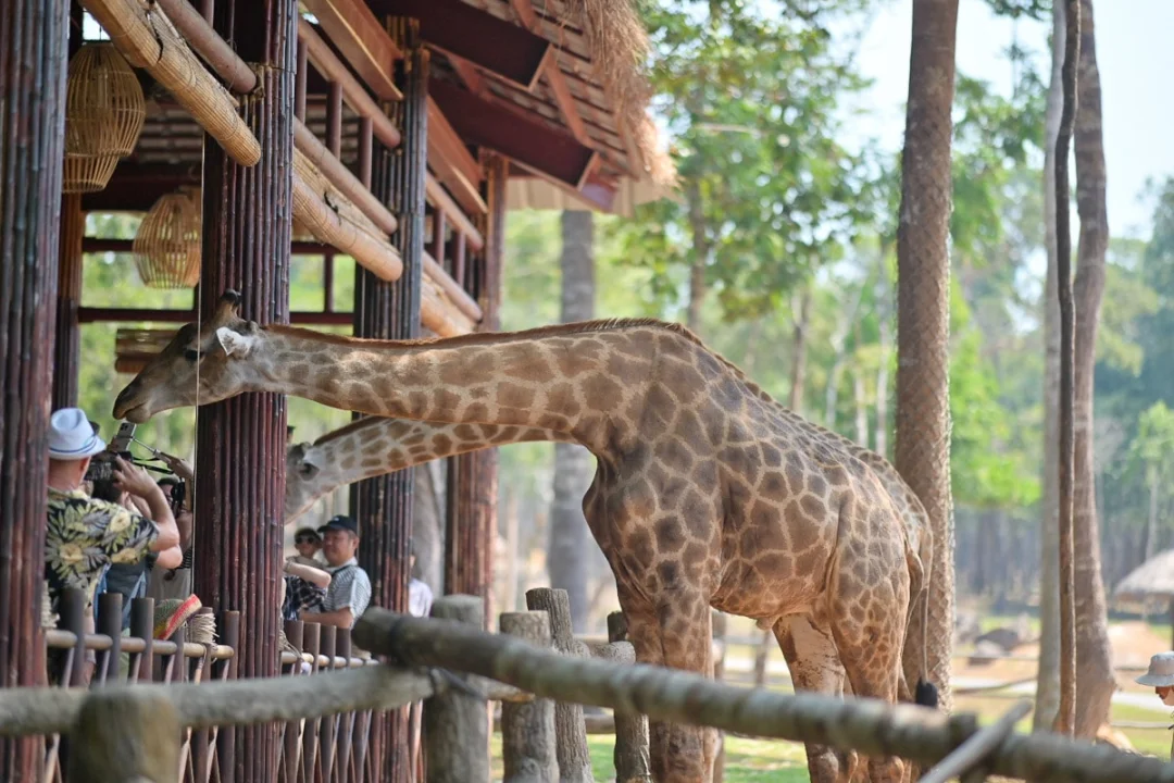 富國島珍珠野生動物園