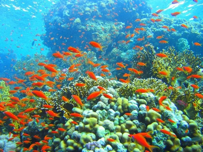 安泰群島跳島與浮潛