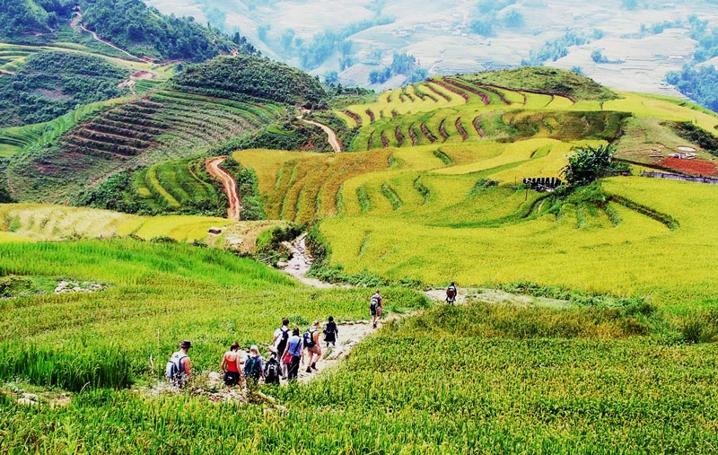 貓貓村（Bản Cát Cát）