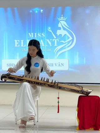 河內大學校花的河內導遊照片 9