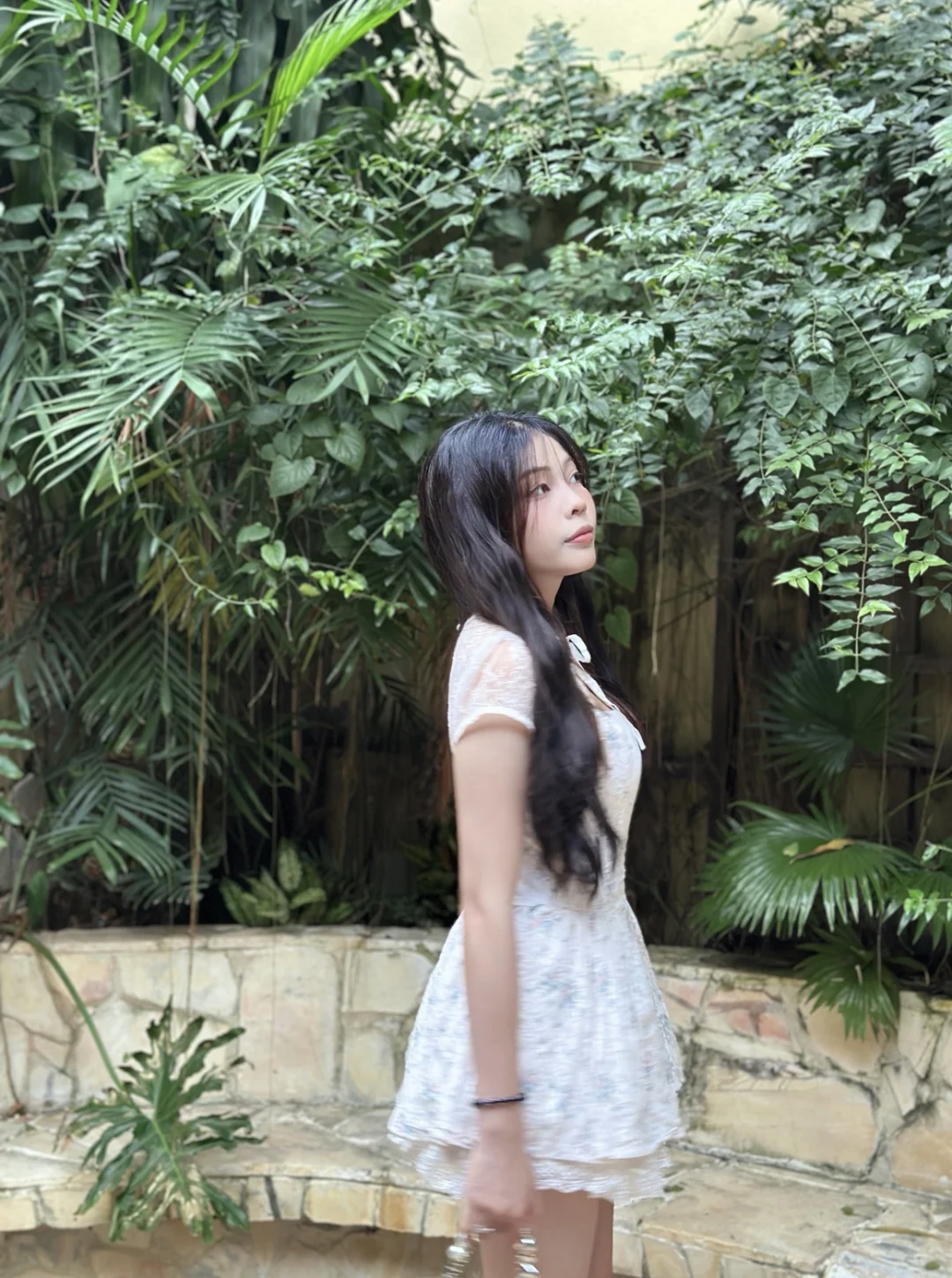 Nguyễn thị bích hồng