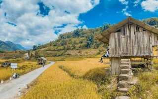 Sapa Local Tour Guide的沙壩導遊照片 2