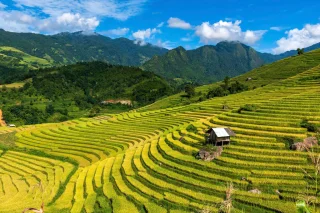 Sapa Local Tour Guide的沙壩導遊照片 5