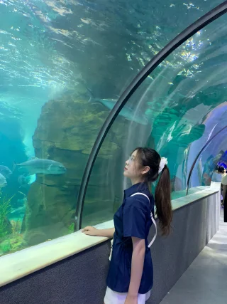 小婉的河內導遊照片 4